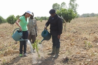Journées nationales de valorisation de l’agriculture : Guillaume Soro Parrain de l′édition 2014